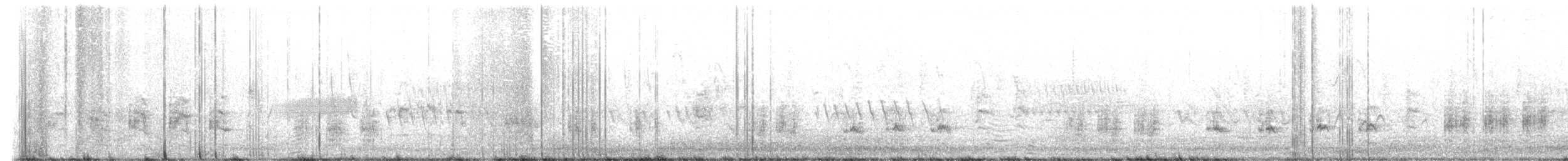 Great Reed Warbler - ML549447621