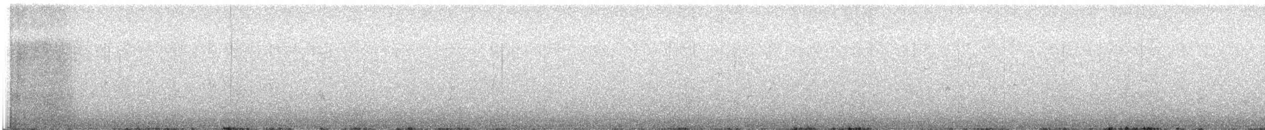 "Шишкар ялиновий (Northeastern, або тип 12)" - ML549531231