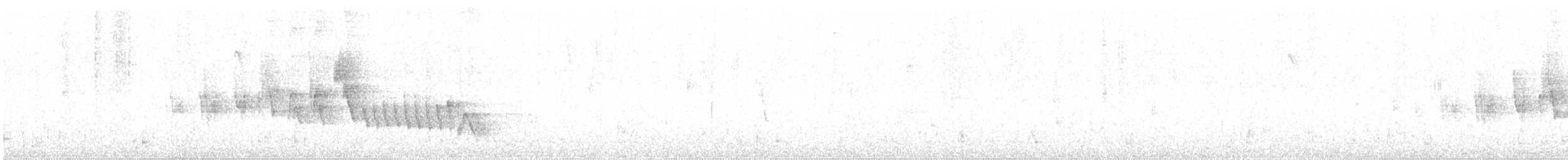 Maghrebbuchfink (africana) - ML549540921