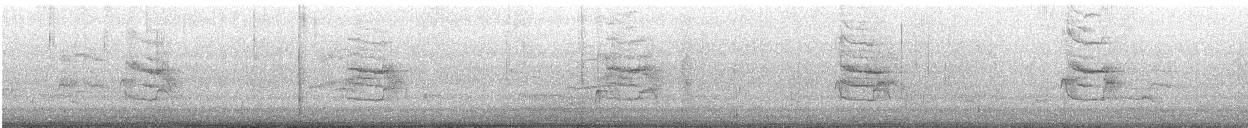 Keilschwanz-Regenpfeifer - ML549548721