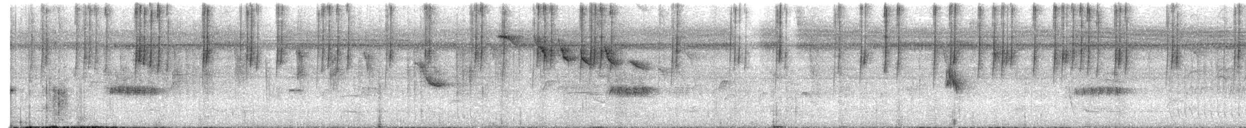 Белошапочный колибри - ML549570711