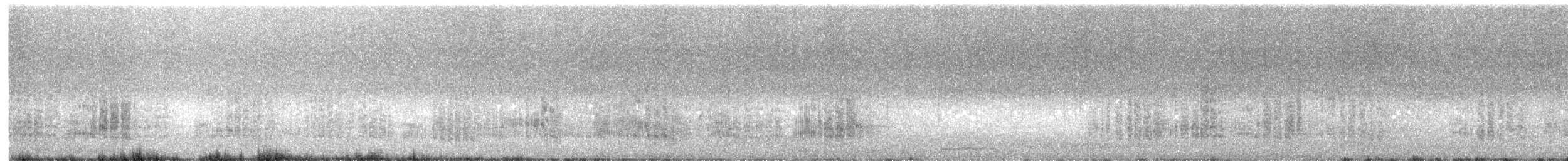 New Zealand Kaka - ML549580501