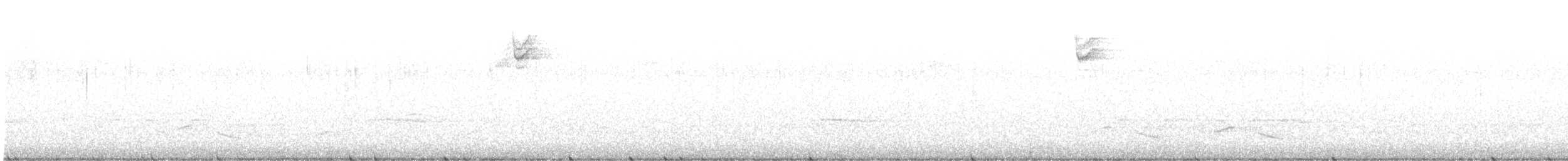 Пестрогрудая овсянка (Лисья) - ML549597641