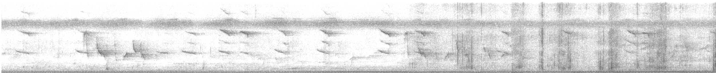 Мангровая белоглазка - ML549626491