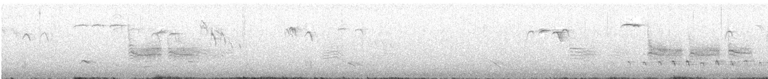 Гаїчка-пухляк звичайна [група montanus] - ML549689341