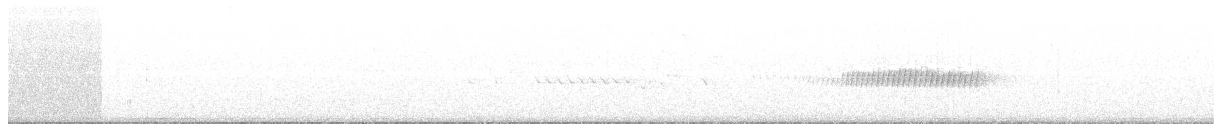 Pine Warbler - ML54971161