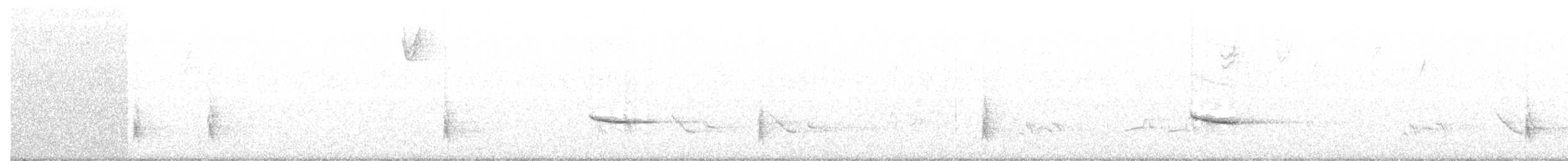 Hermit Thrush (faxoni/crymophilus) - ML54971251