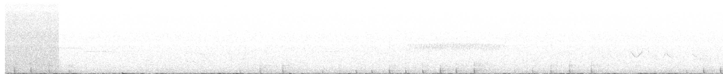 hvitbrynsvartspett - ML54971481