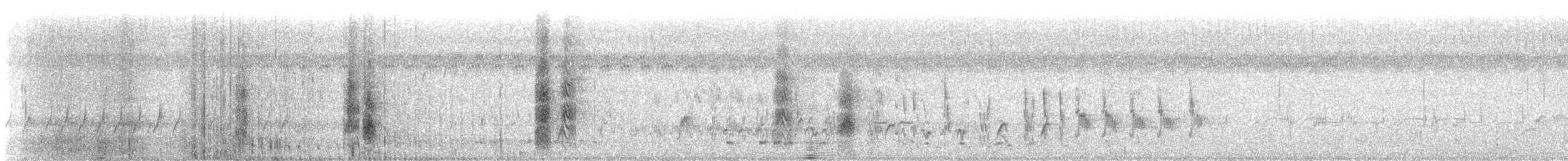 חרטומית סיבירית - ML549723121