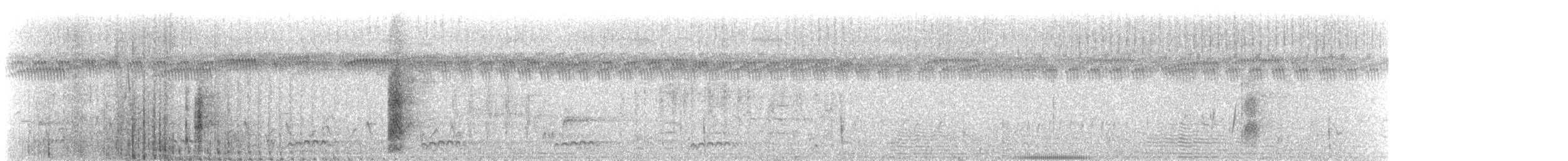 חרטומית סיבירית - ML549723131