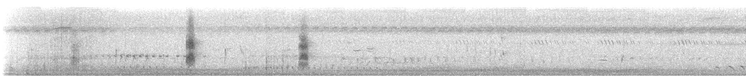 חרטומית סיבירית - ML549723151