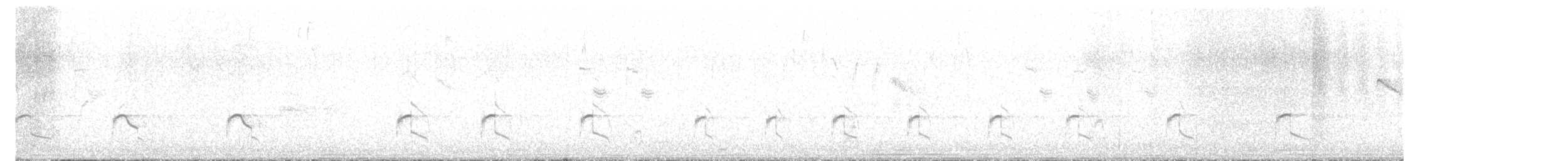 小環頸鴴(curonicus) - ML549725431