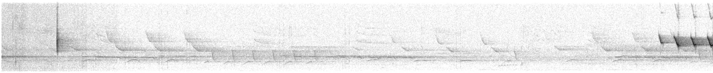 Louisiana Waterthrush - ML549756721