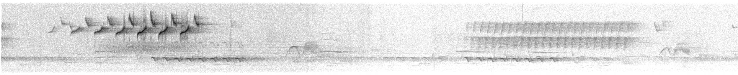Black-and-white Warbler - ML549756921