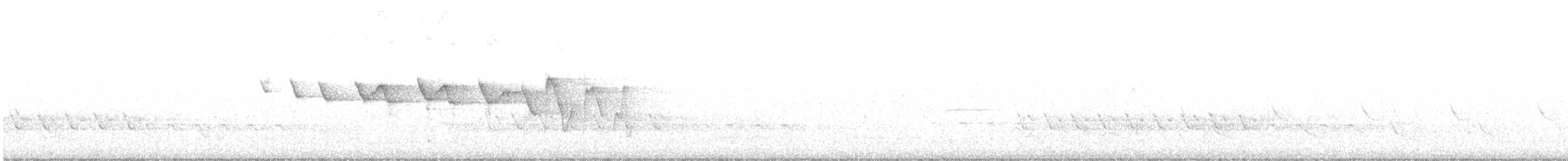 Louisiana Waterthrush - ML549758631
