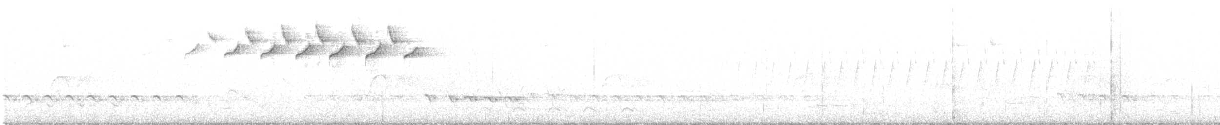 Black-and-white Warbler - ML549796441