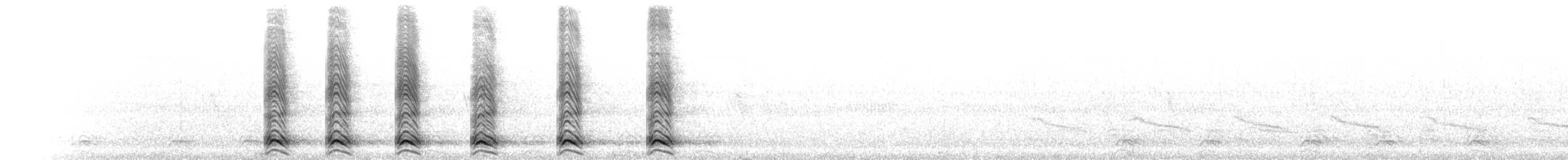 Calls - American Crow