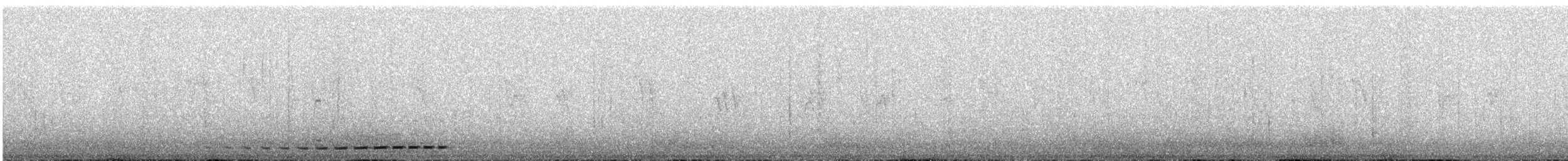 Grallaire à nuque grise - ML549847381