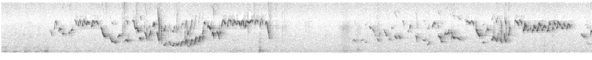 Winter Wren - ML549893541