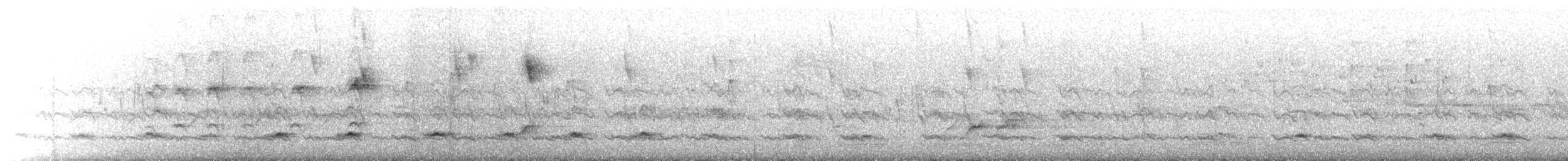 Тасманийскый радужник - ML549913001