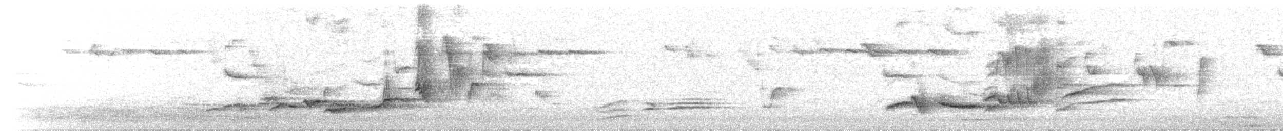 Eurasian Blackbird - ML550007961