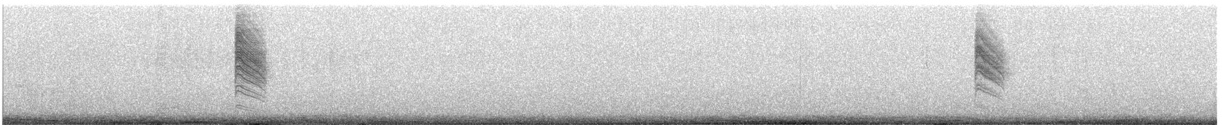 leskot modrošedý [skupina obscura] - ML550056331