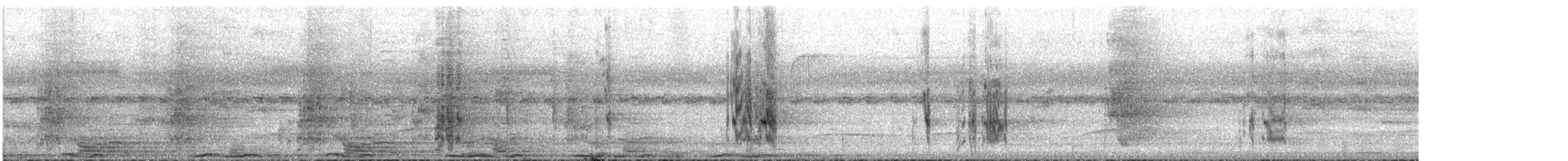 Caïque à queue courte - ML550082701