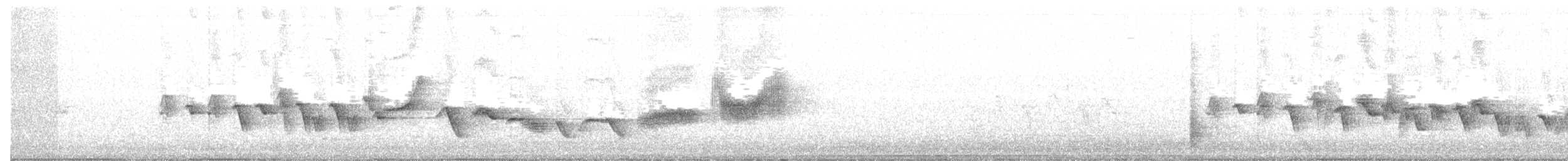 灰斑鳩 - ML55010111