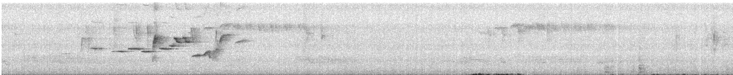 Малый короткокрыл - ML550104091
