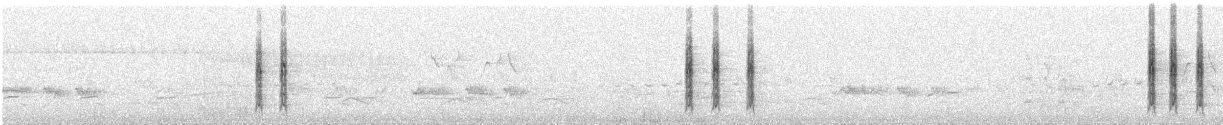 Weißhalsdrossel - ML550149891