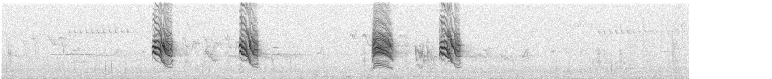 Maun Göğüslü Çütre - ML550149991