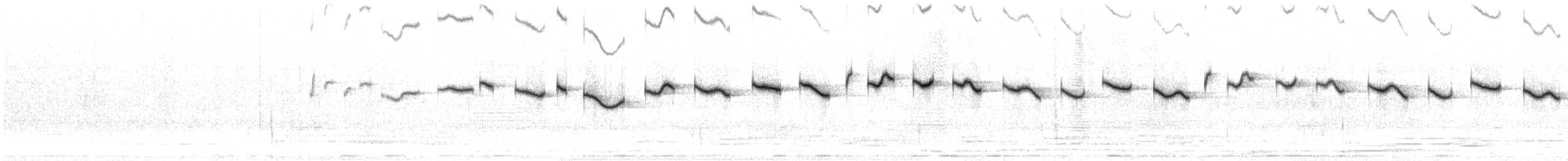 Salpornis tacheté - ML550160321