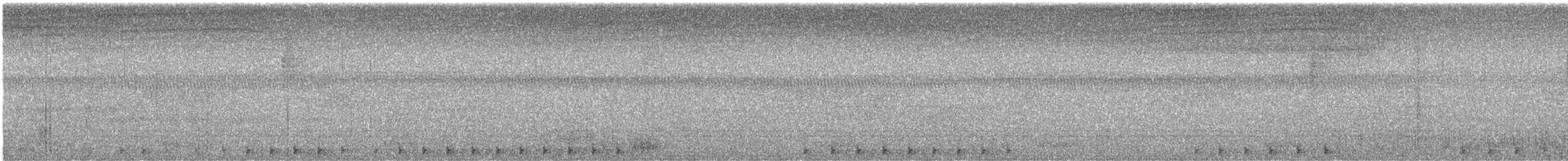 woodpecker sp. - ML550167681