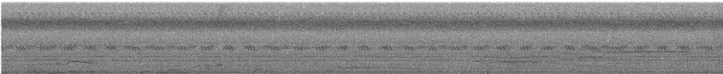 Great Eared-Nightjar - ML550193271