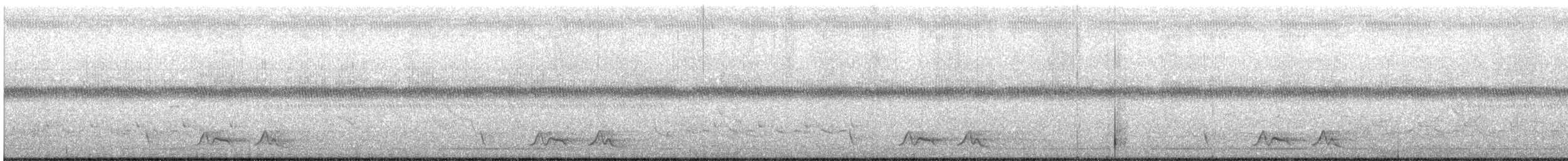 Carolinanachtschwalbe - ML550196991