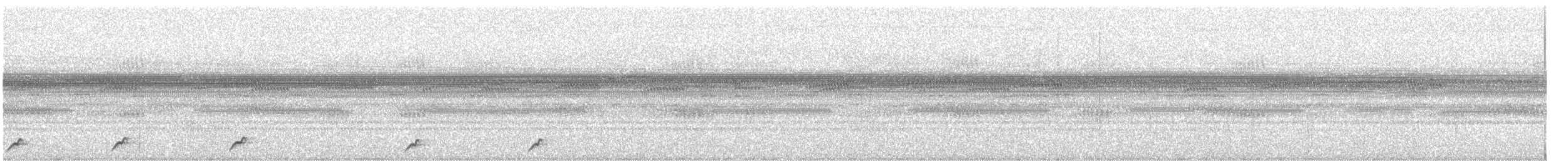 Pauraquenachtschwalbe - ML550204851