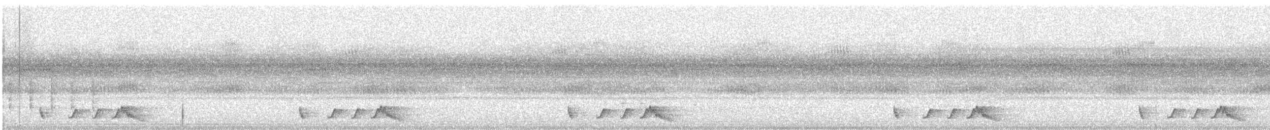 Rostnachtschwalbe - ML550205121