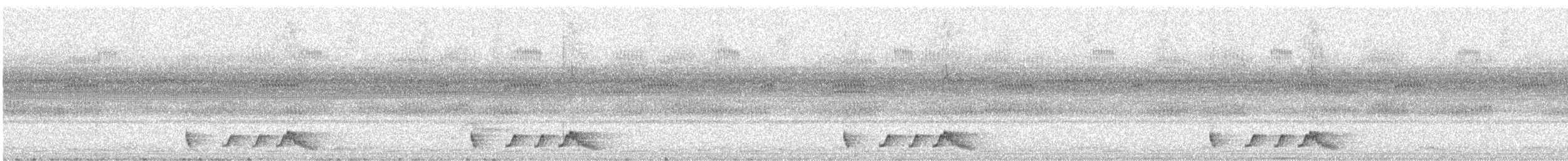 Rostnachtschwalbe - ML550205551