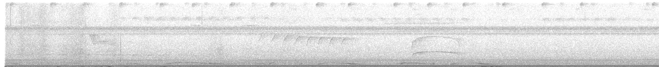 holub neotropický - ML550209431