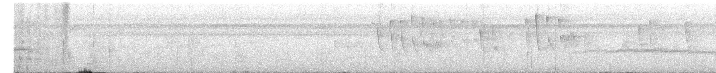 シロオビハリオアマツバメ - ML550212571