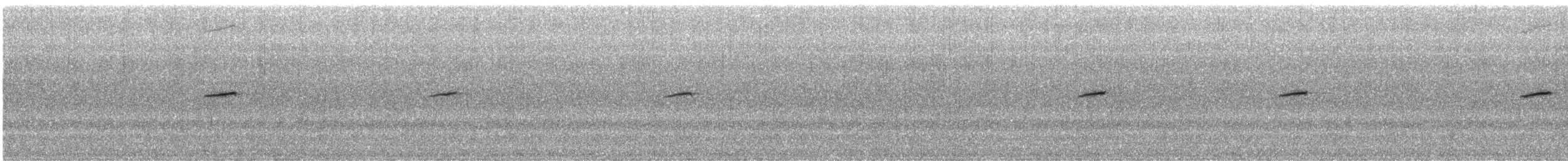 Plumbeous Redstart - ML550212761