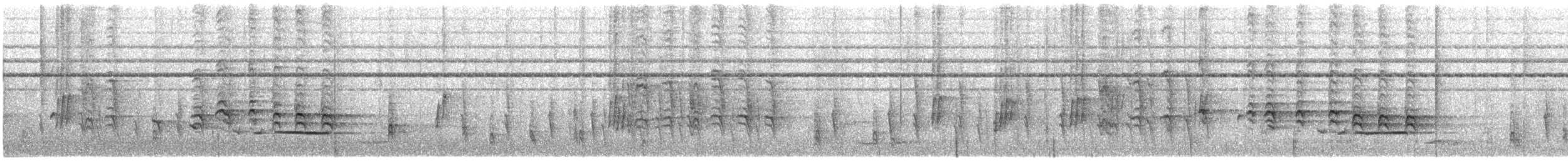 Mountain Illadopsis - ML550224231