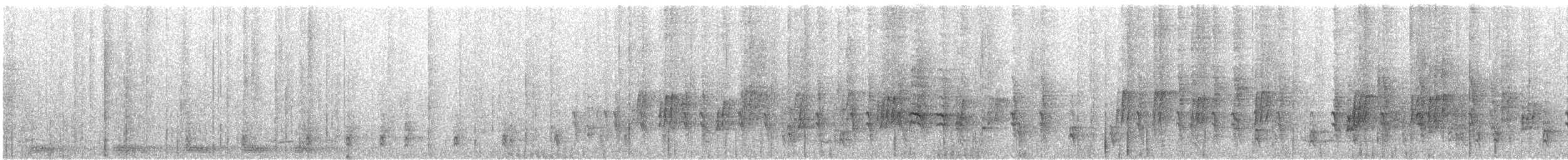 Mountain Illadopsis - ML550224671