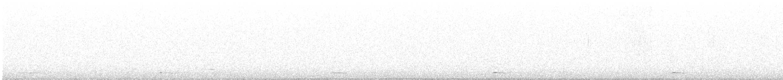 Chevêchette naine - ML550238371