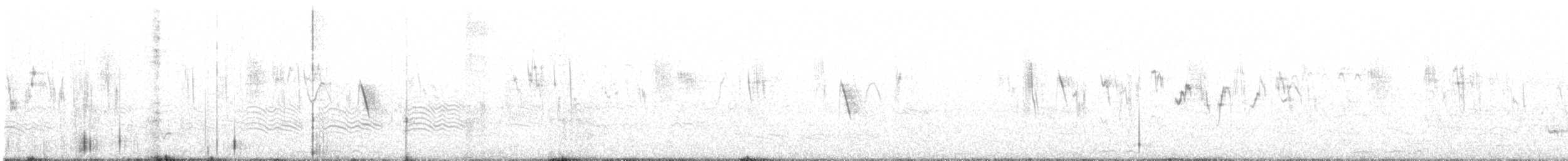Weißbauch-Mennigvogel - ML550275901