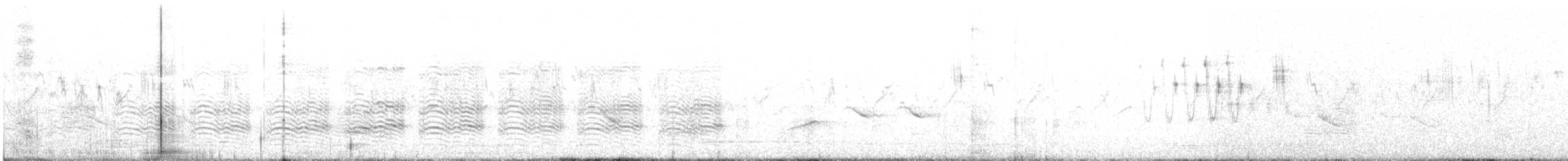 Weißbauch-Mennigvogel - ML550275971