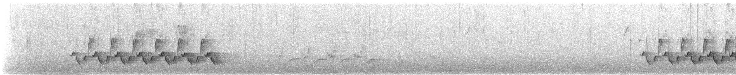 Поплітник каролінський - ML550289321