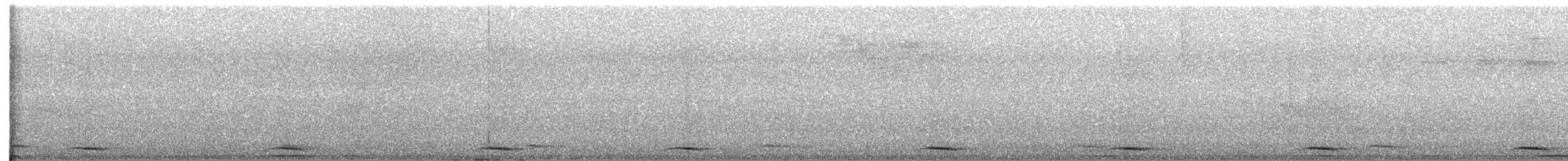 セアカウズラバト - ML550323821