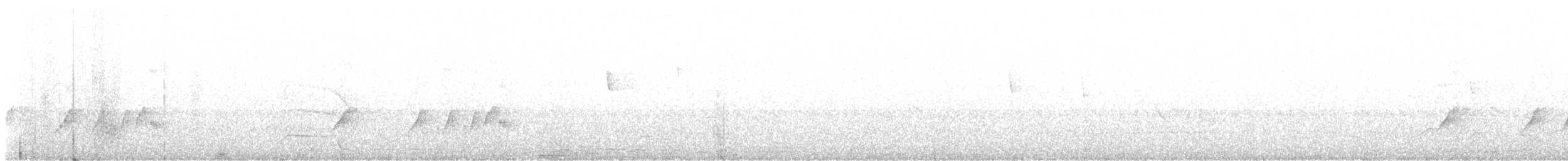 Koyu Başlı Tiranulet - ML550328201