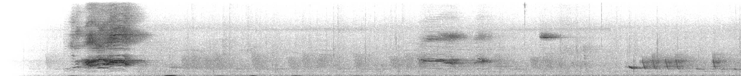 Tüpfellaubenvogel - ML550399431
